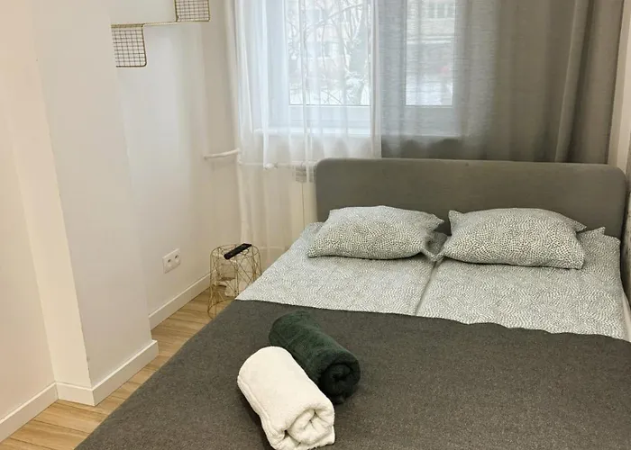 Project Comfort Apartament Zwierzyniecka 15/7 Torwar